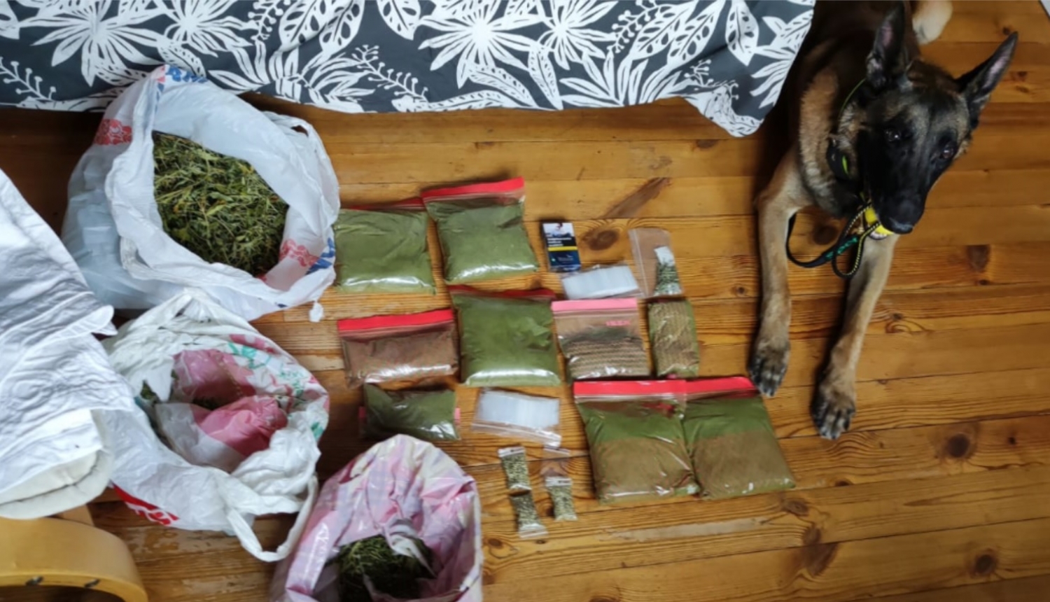 FOTO: Suns ar atrastajām narkotikām