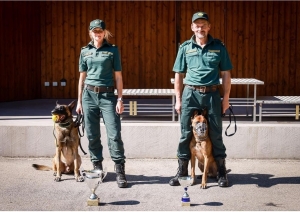 Valsts robežsardzes amatpersonu un dienesta suņu piedalīšanās dienesta suņu profesionālās meistarības sacensībās